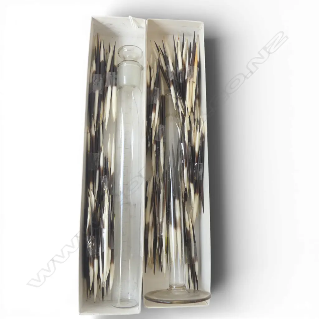 COLLECTION OF PORCUPINE QUILS Image 1++