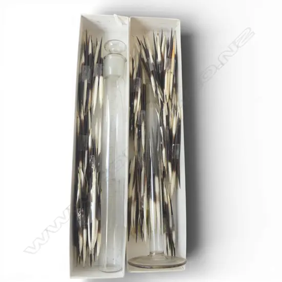 COLLECTION OF PORCUPINE QUILS