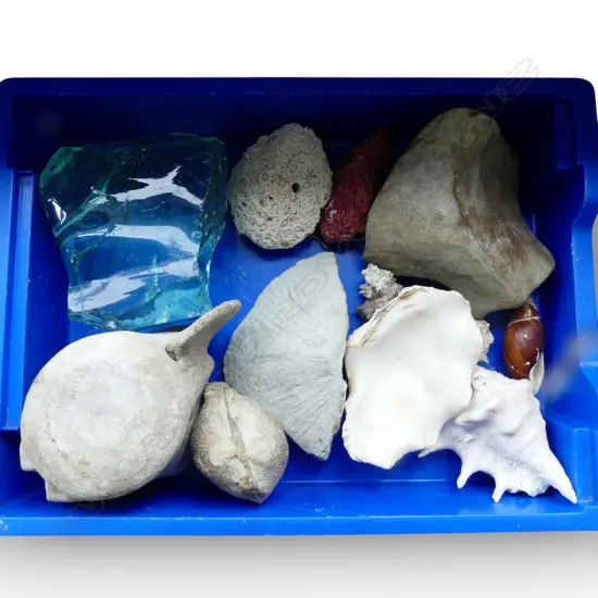 ASST. SHELLS, CORAL, GLASS PIECE W.160mm ETC