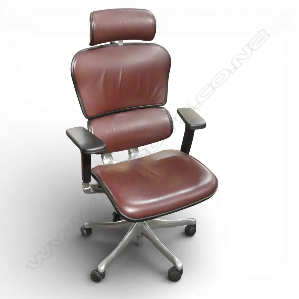 DESIGNER OFFICE CHAIR BY ERGOHUMAN H.1230mm Image 1++