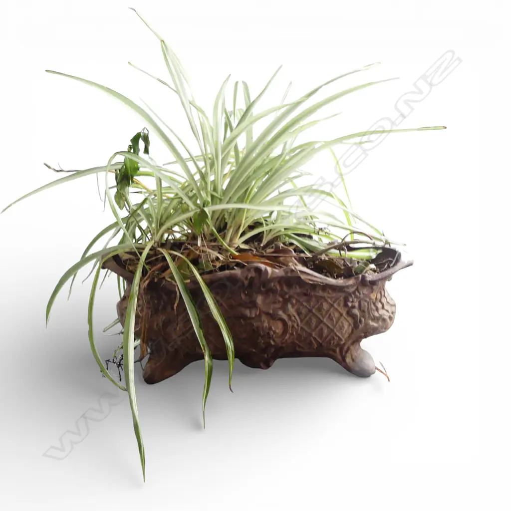 CAST IRON PLANTER W.480mm Image 1++