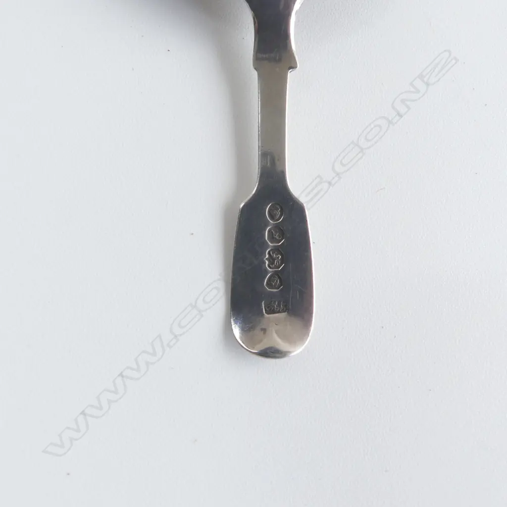 WILLIAM IV TEA CADDY SPOON 1836 17GMS Image 1++
