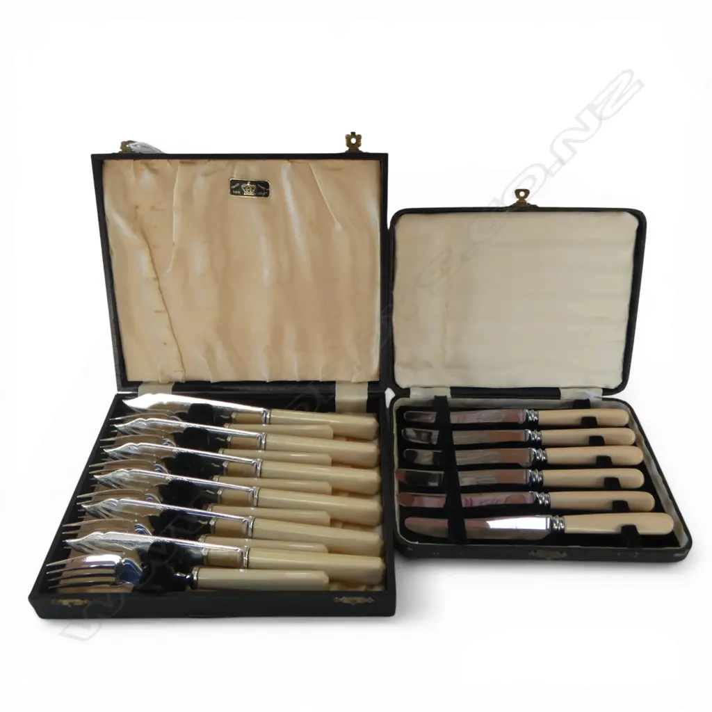 2 SETS CASED IVORINE 'BONE' HANDLED CUTLERY; 6 PATE KNIVES L.175mm, 12 PCE FISH SET Image 1++
