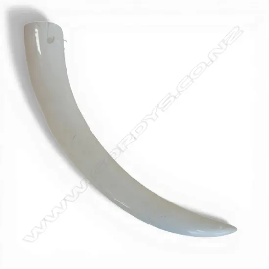 IVORY TUSK SECTION L.670mm