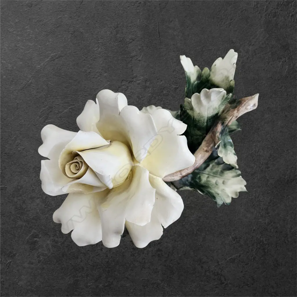 CAPODIMONTE ROSE 120 x 220 mm Image 1++