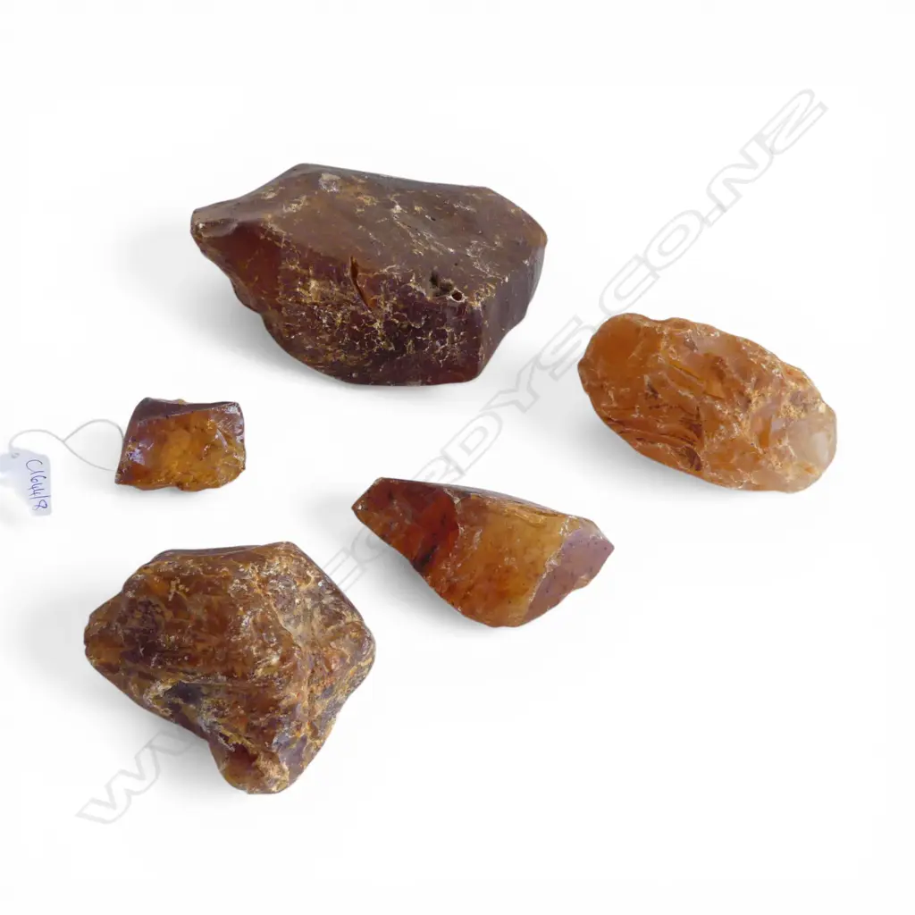 5 PCES KAURI GUM W.155mm Image 1++