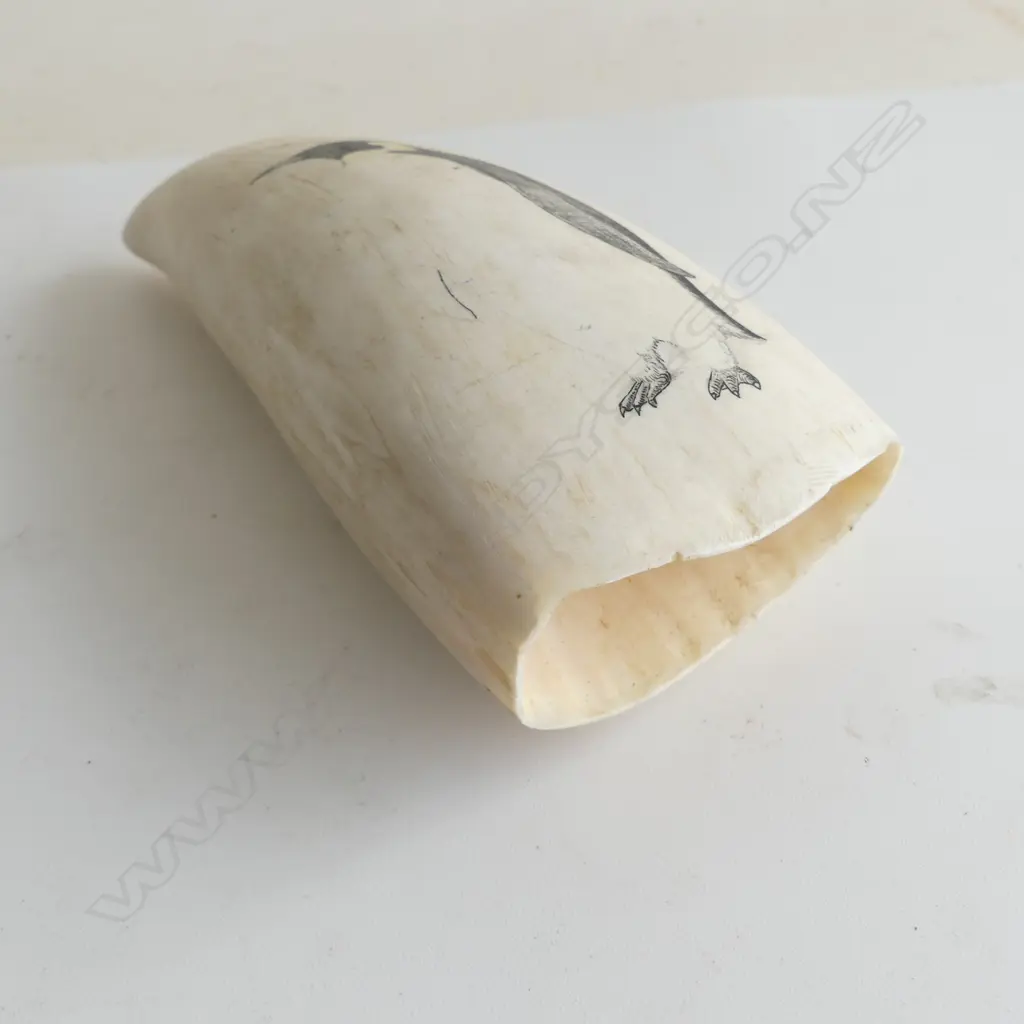 WHALES TOOTH w. PENGUIN IMAGE H.160mm SIGNED... Image 1++