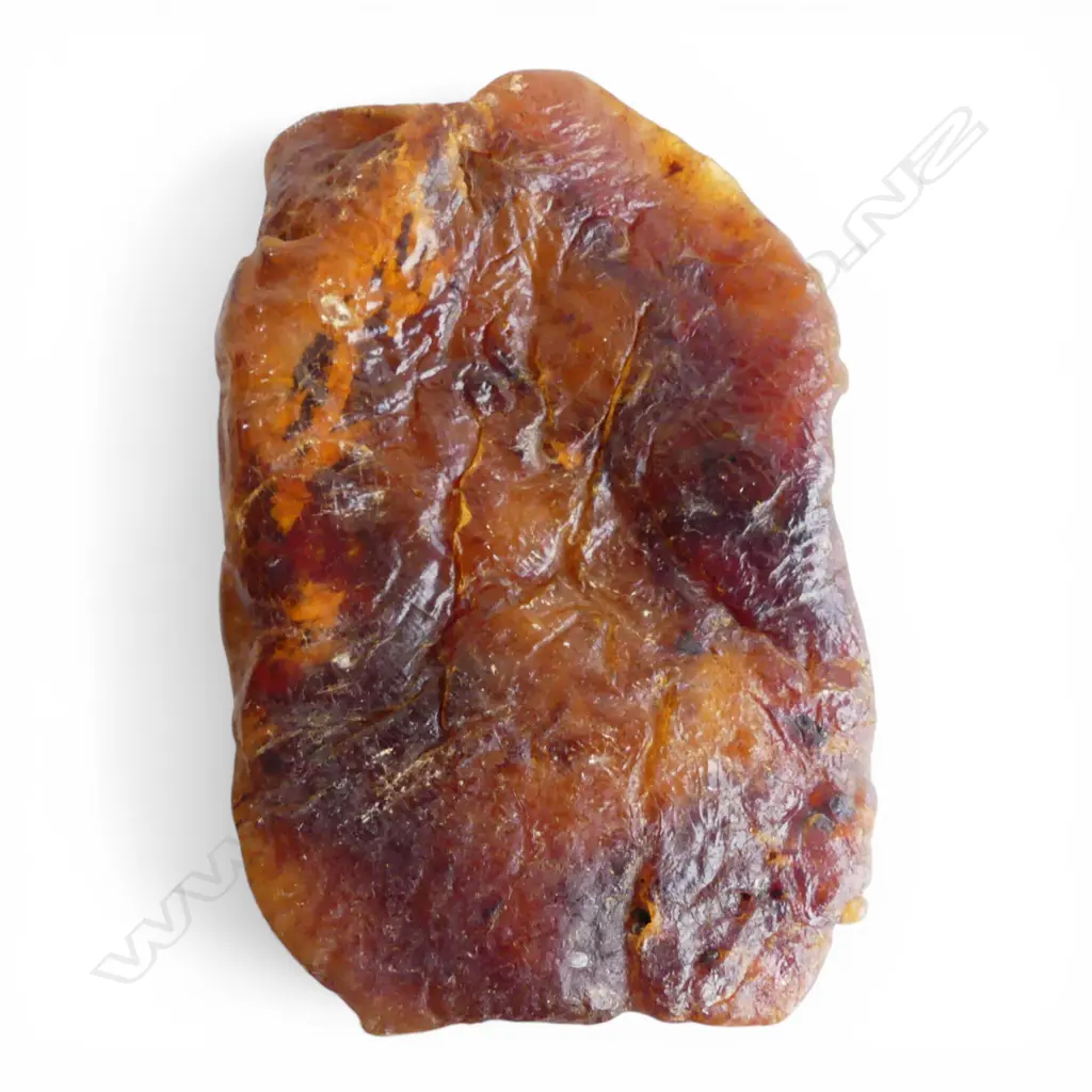 LG PCE PART POLISHED KAURI GUM weighing close to 9kg Image 1++