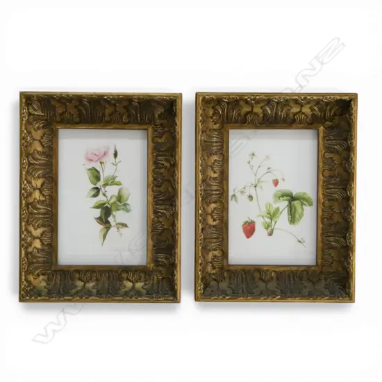 SIGNED ELLIOT, PAIR OF BOTANICAL STUDIES, DIGITAL PRINT IN ELABORATE GILT FRAMES, 460 X 370MM (OVERALL)