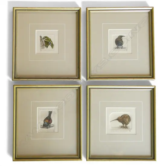 4 FRAMED PRINTS by RUSSEL JACKSON, SADDLEBACK, BROWN KIWI, TUI & RIFLEMAN, 90x100mm