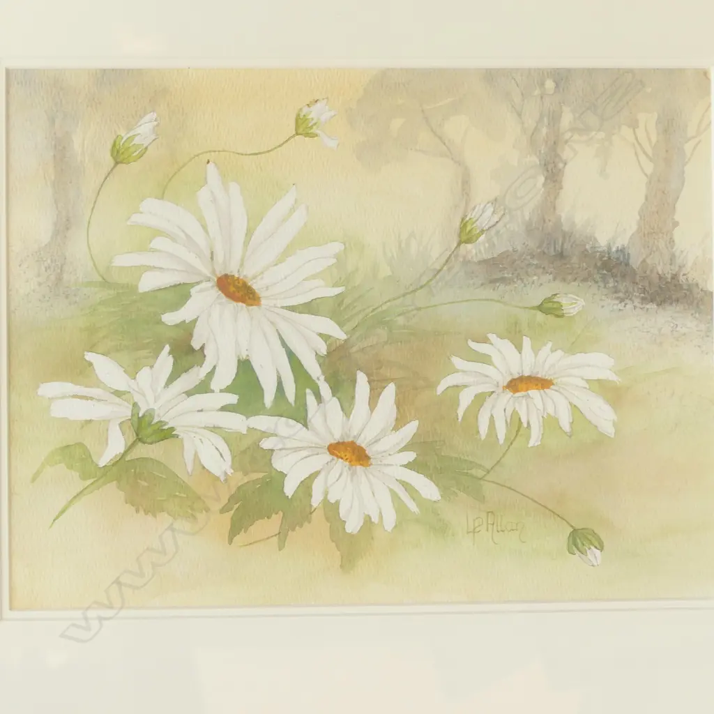 FRAMED & SIGNED WATERCOLOR, WHITE DAISIES, 230 x 300mm Image 1++