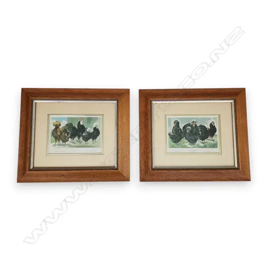 TWO ROOSTER & CHICKEN PRINTS 260 x 300 mm