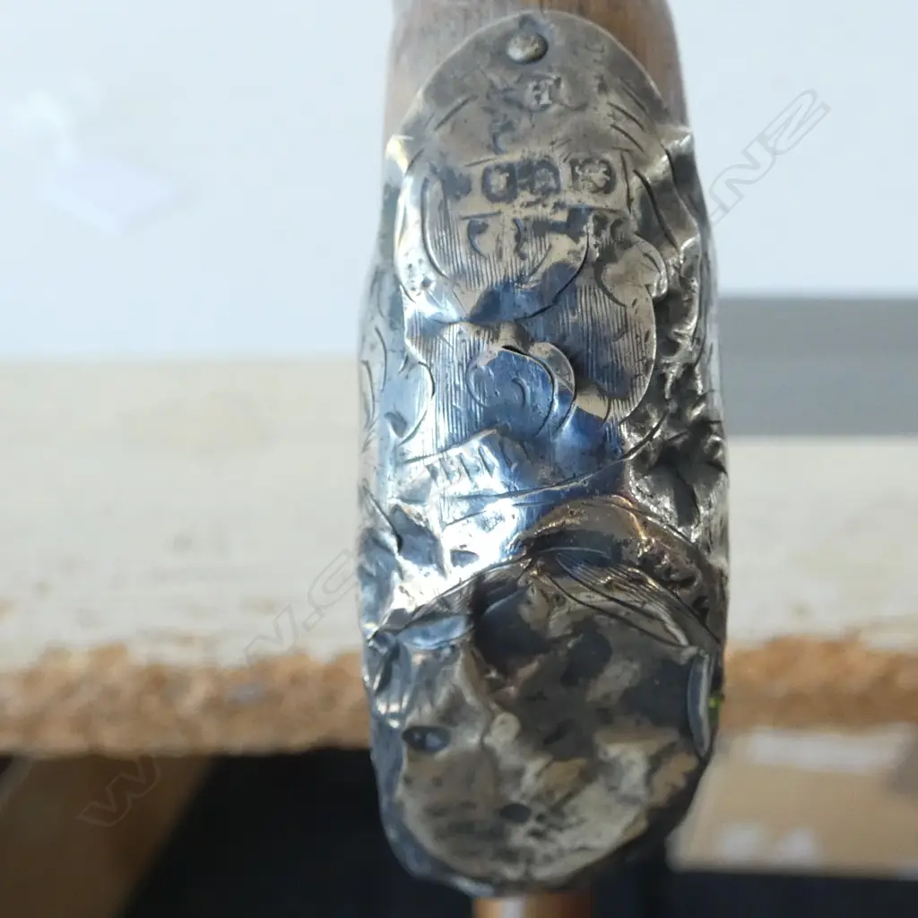 2 WALKING STICKS w. STG SILVER CAPS L.900mm Image 1++