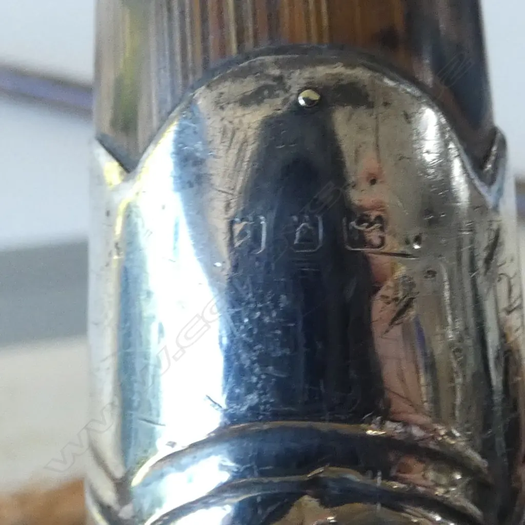 2 WALKING STICKS w. STG SILVER CAPS L.900mm Image 1++