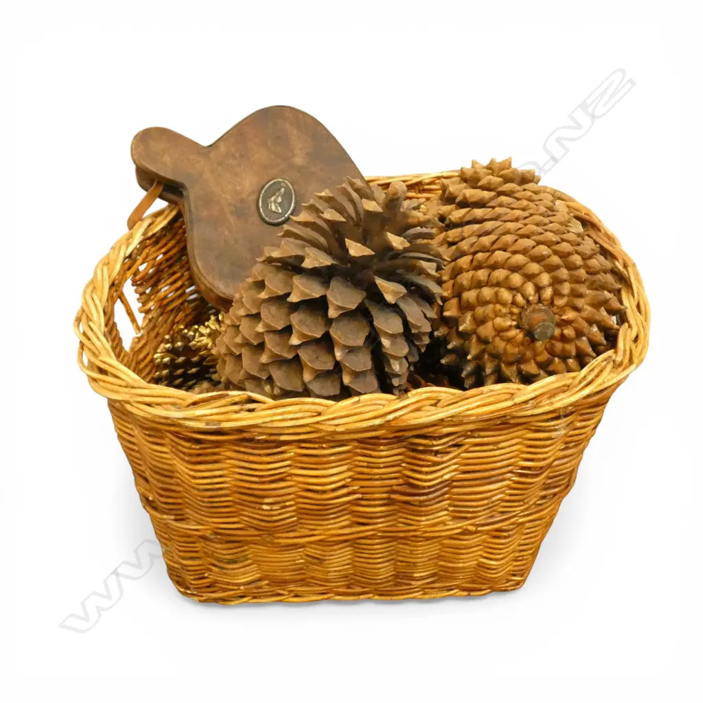 CANE BASKET w. LARGE PINECONES & BELLOWS Image 1++