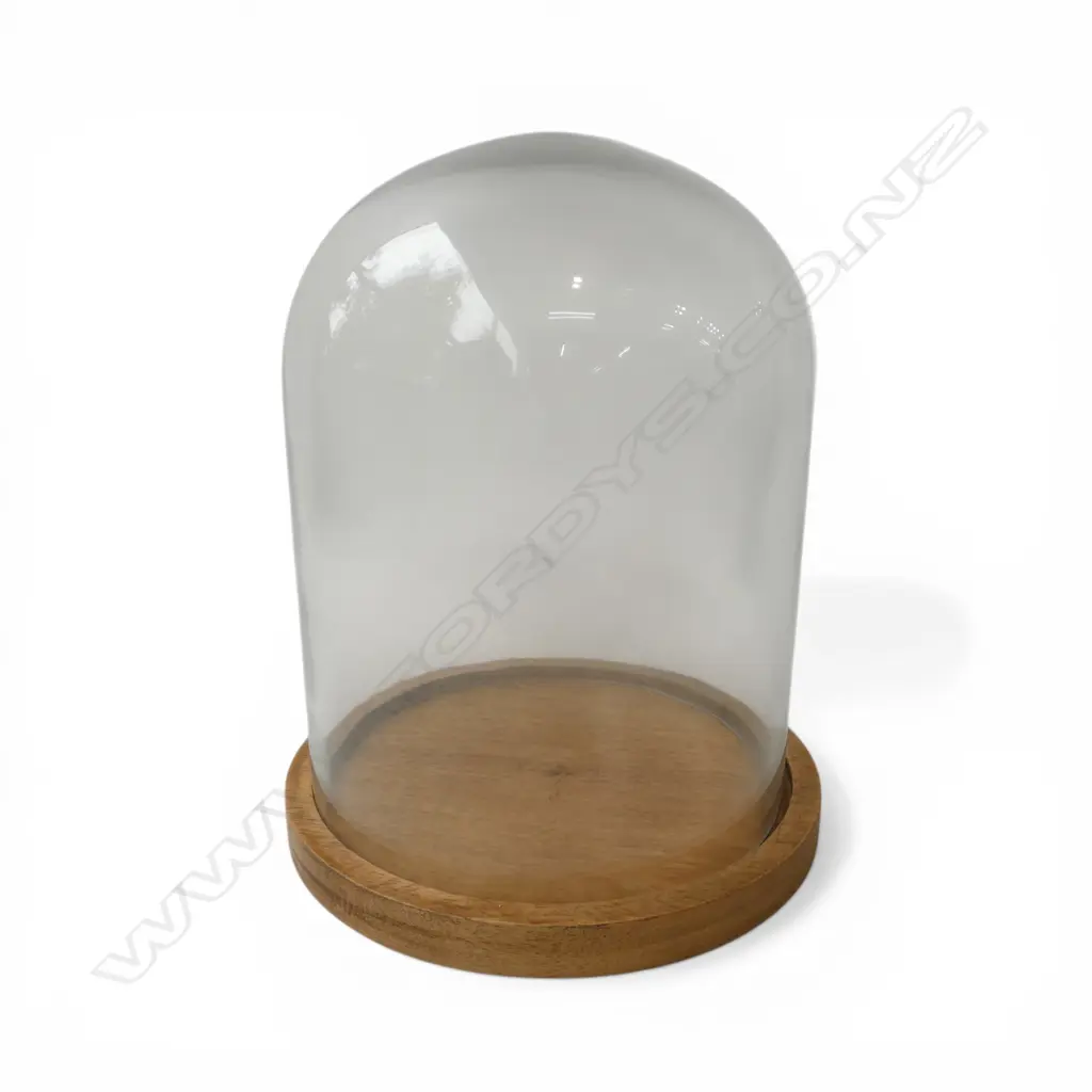 GLASS CLOCHE DOME H.250mm ON WOODEN BASE 200mm dia Image 1++
