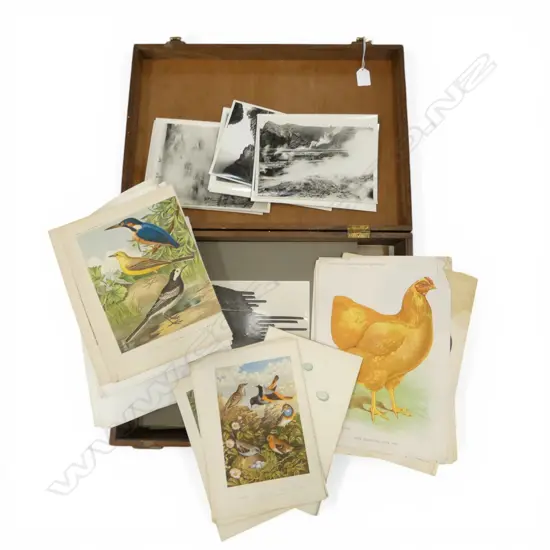 WOODEN CASE W.495mm w. ASST. B/W PHOTOS & PRINTS