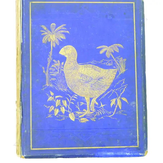 Sir Walter Lawry Buller (1838-1906) 'A History of the Birds of New Zealand'