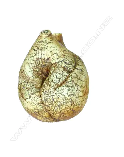 Len Castle hanging double apertured form Image 1++