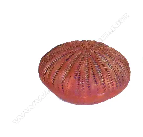 Len Castle 'Sea Secret' Image 1++