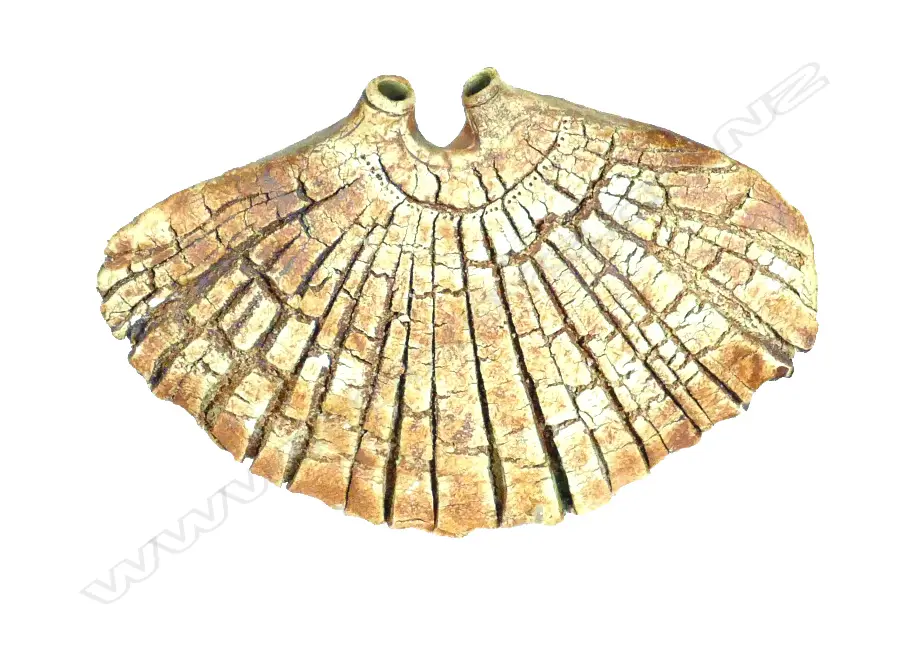 Len Castle double apertured hanging form Image 1++