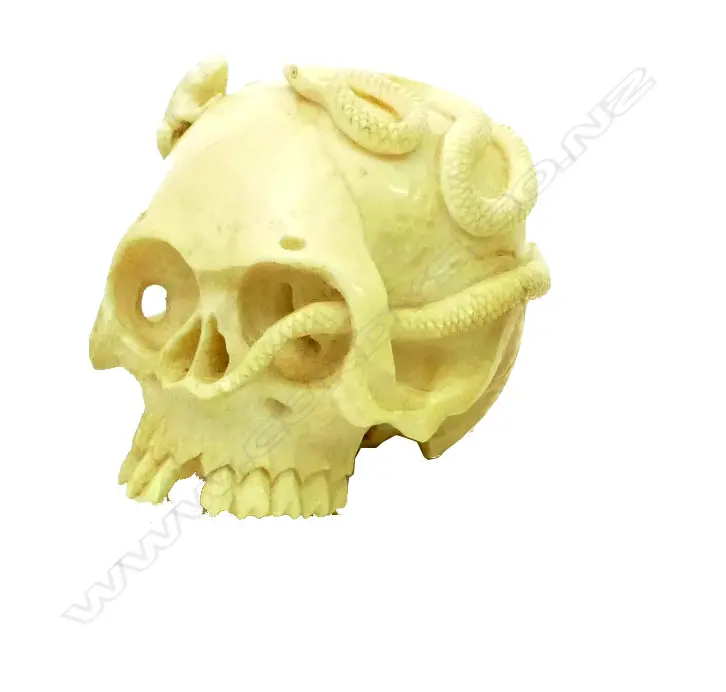 An old carved ivory skull ornament Image 1++