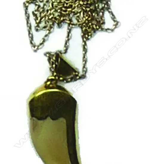 A Victorian leopard claw pendant and chain