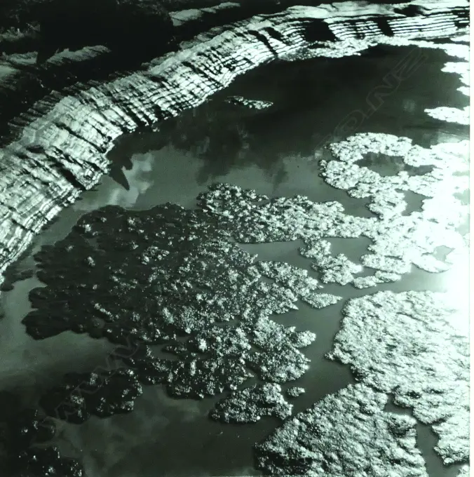 Theo Schoon Image 1++