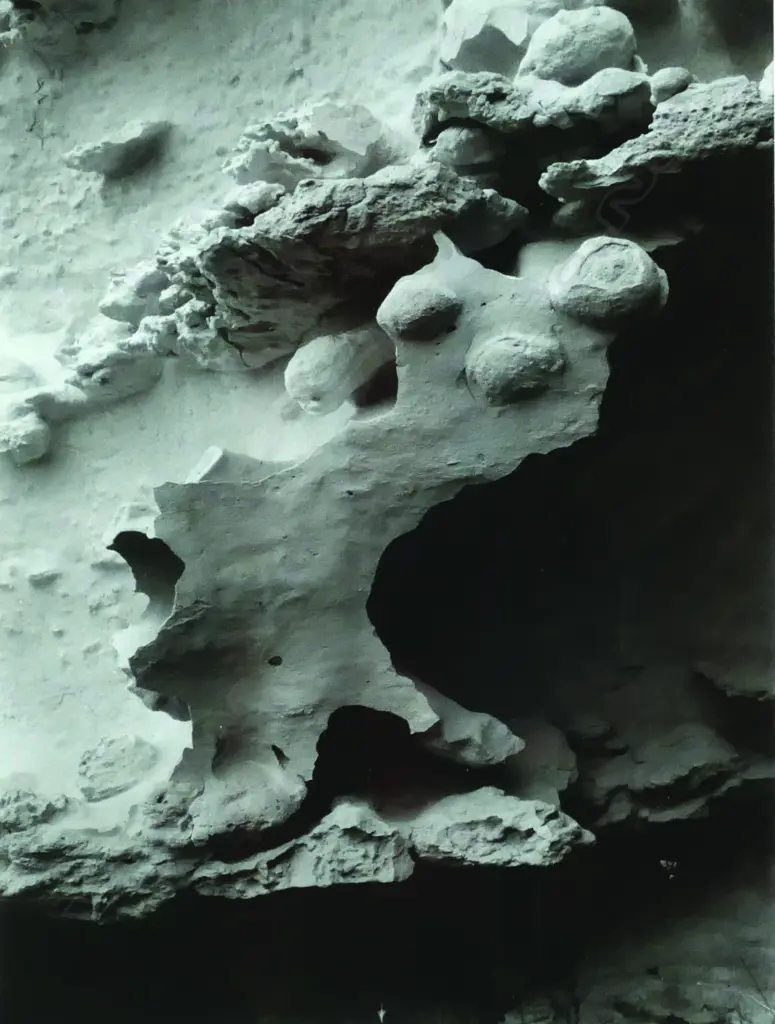 Theo Schoon Image 1++