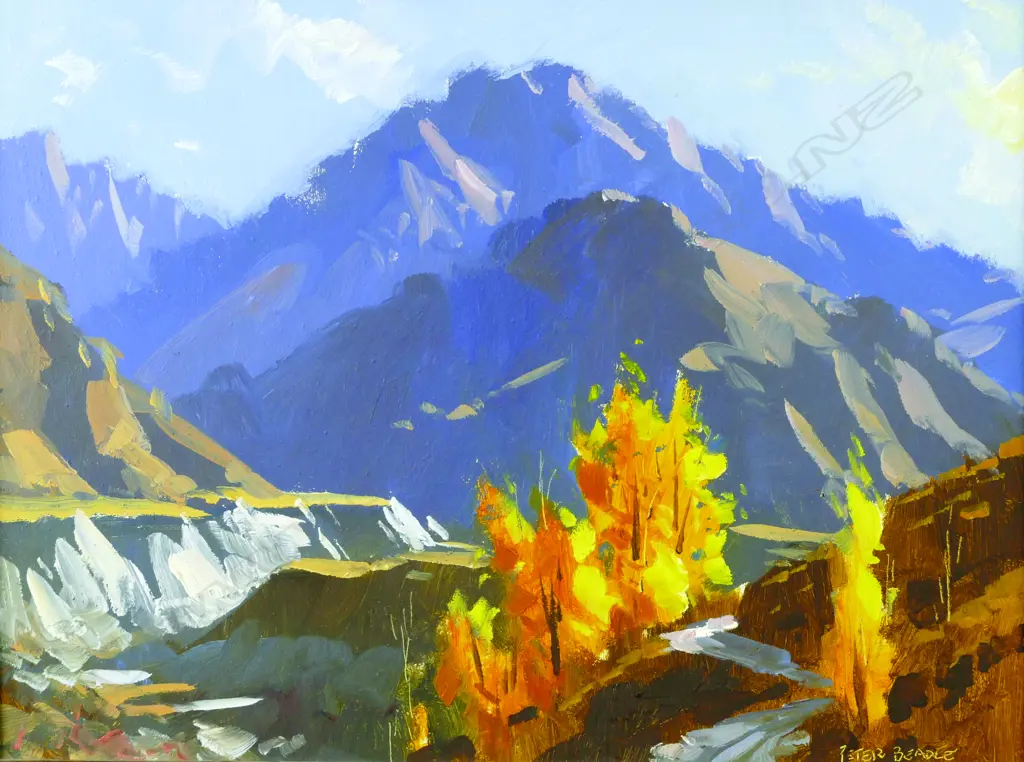 Peter Beadle Image 1++