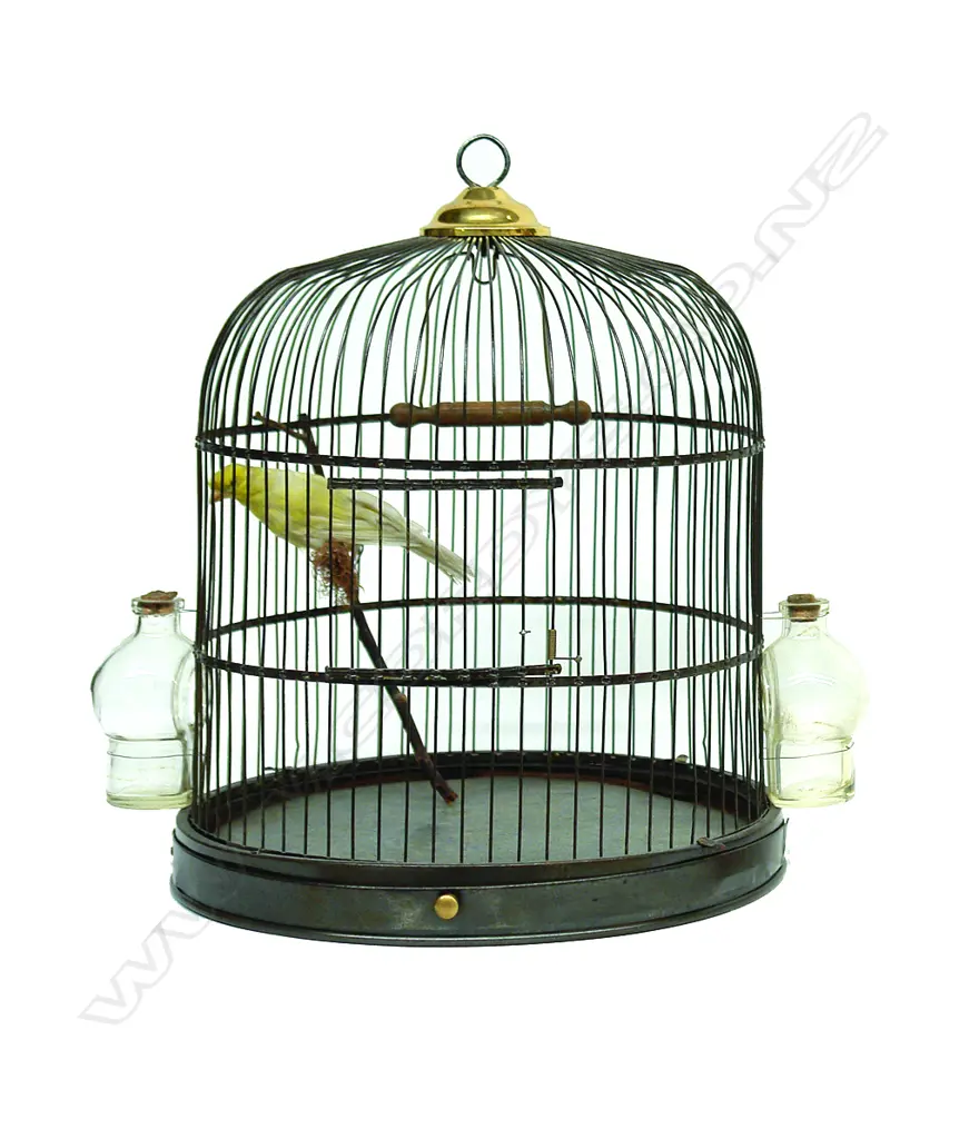 A late 19thC birdcage Image 1++