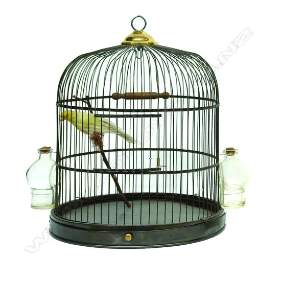 A late 19thC birdcage