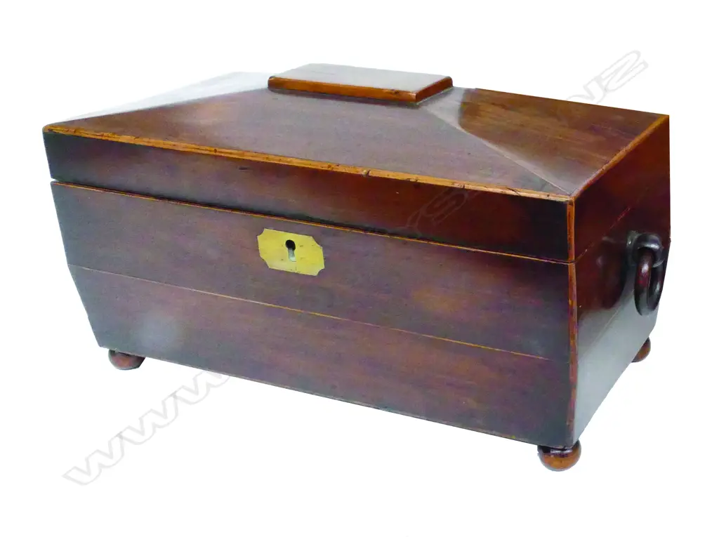 A Regency mahogany sarcophagus work box Image 1++
