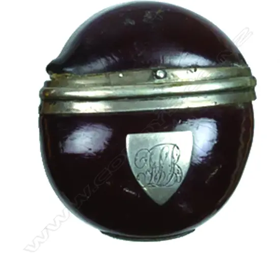 A Mucuna (drift seed/sea bean) vesta