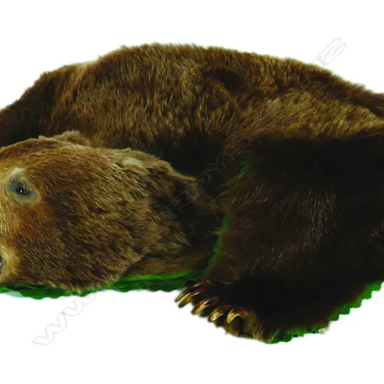 A rare and impressive grizzly bear rug