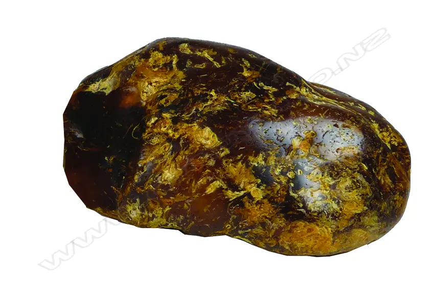 A kauri gum boulder Image 1++