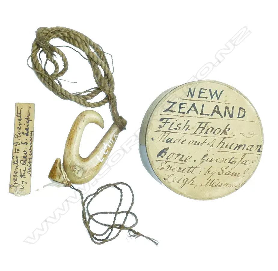 A Maori bone fish-hook repatriated from the UK Image 1++