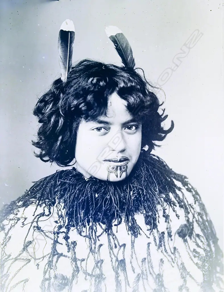 A full size glass plate negative portrait of a young Maori woman Image 1++