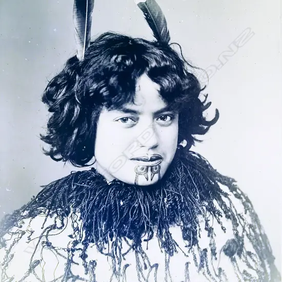 A full size glass plate negative portrait of a young Maori woman