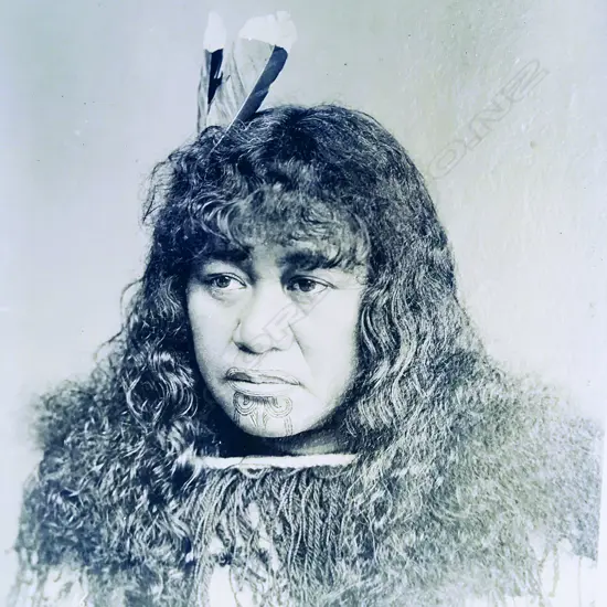 A full size glass plate negative portrait of a young Maori woman