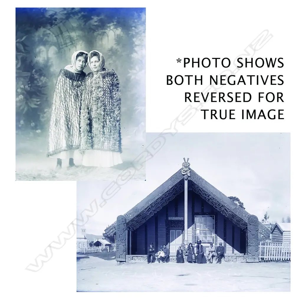 Two half plate glass negatives Image 1++