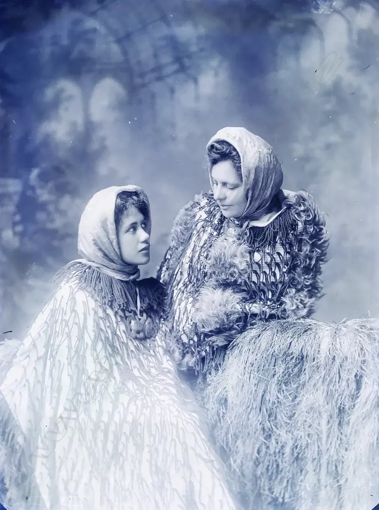 Two half plate glass negatives Image 1++