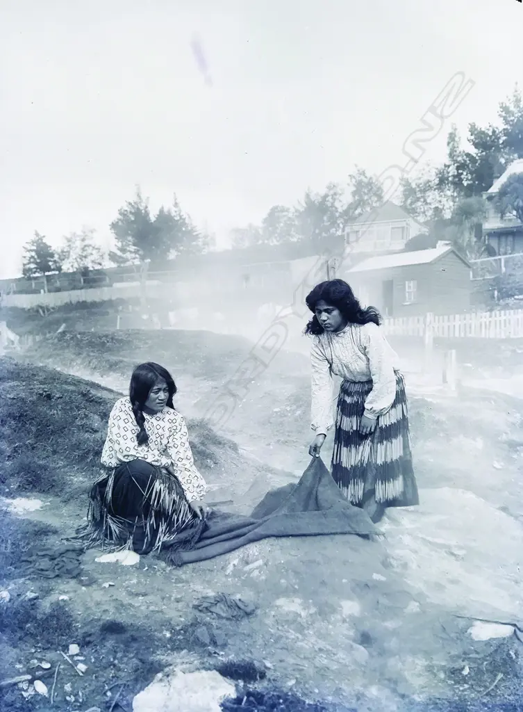 Two half plate glass negatives Image 1++