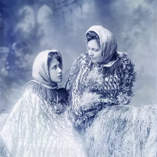 Two half plate glass negatives