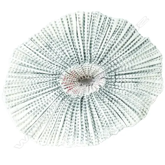 Len Castle 'Sea Secret'