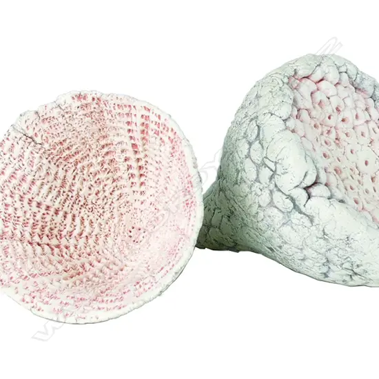 Two Len Castle 'Sea Secret' pieces