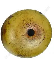 An old manjū-form netsuke Image 1++