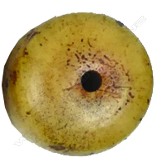 An old manjū-form netsuke