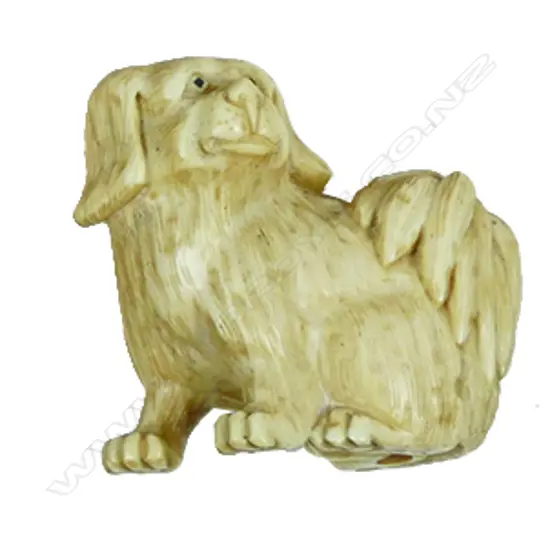 A Japanese carved ivory netsuke of a dog