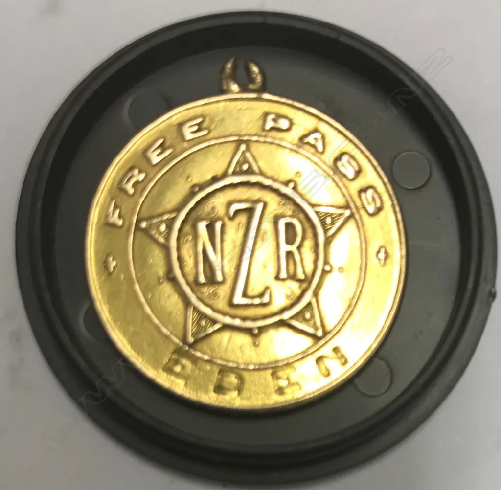 A gold NZR Free Pass for Eden electorate Member of Parliament Image 1++